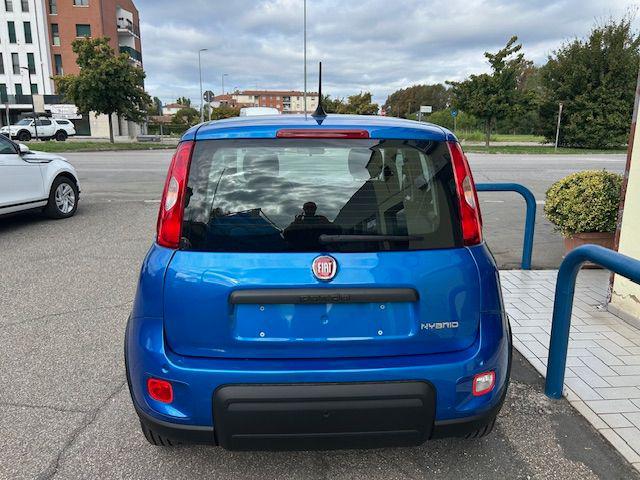 Fiat Panda 1.0 FireFly S&S Hybrid KM ZERO OK NEOPATENTATI - foto 4 di 4