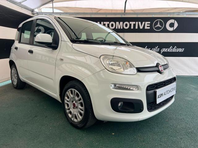 Fiat Panda 1.2 Easy usato a MARIGLIANO