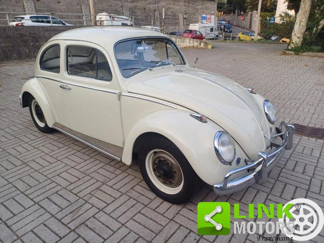 Volkswagen Maggiolino MY 63 in ordine di carrozzeria e meccanica d'epoca a BORGO VENETO