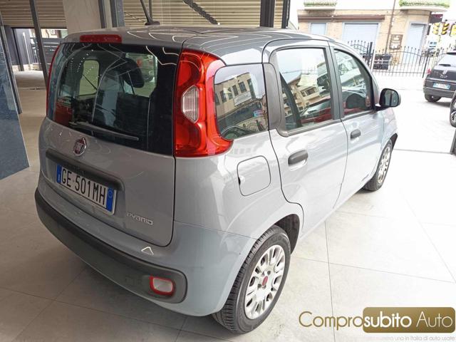 Fiat Panda 1.0 FireFly S&S Hybrid Easy - foto 4 di 4