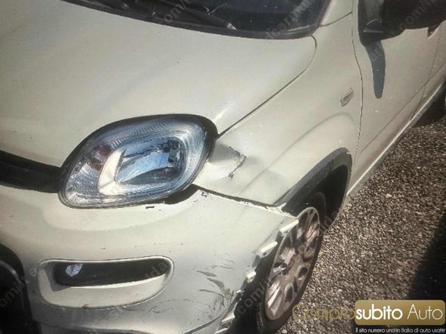 Fiat Panda 1.0 FireFly S&S Hybrid usato a PRATO