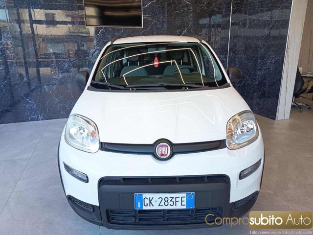 Fiat Panda 1.0 FireFly S&S Hybrid, del 2022, 97.000 km, in vendita a Prato (PO)