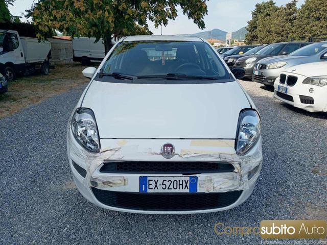 Fiat Punto 1.2 8V 5 porte Lounge, del 2015, 155.000 km, in vendita a Prato (PO)