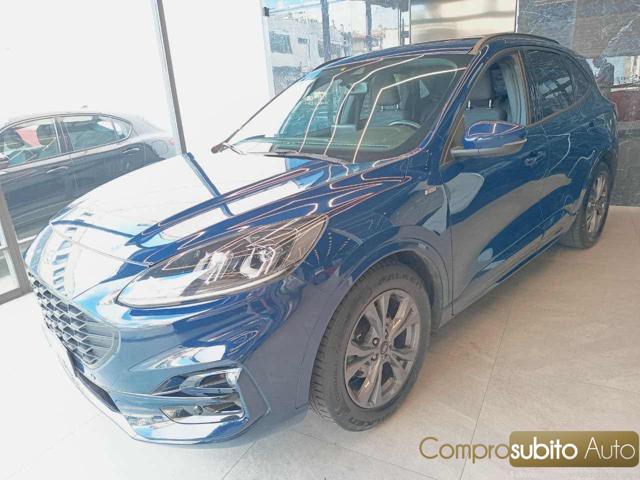 Ford Kuga 1.5 EcoBlue 120 CV 2WD Titanium Business - foto 2 di 4