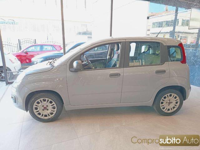 Fiat Panda 1.2 Easy - foto 4 di 4