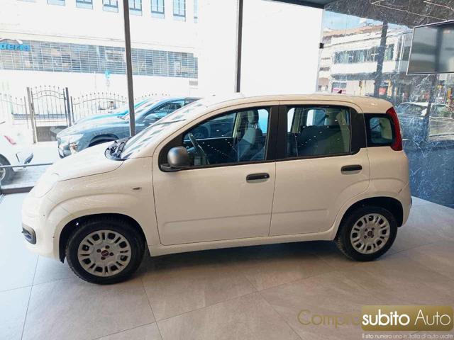 Fiat Panda 1.0 FireFly S&S Hybrid City Life - foto 4 di 4