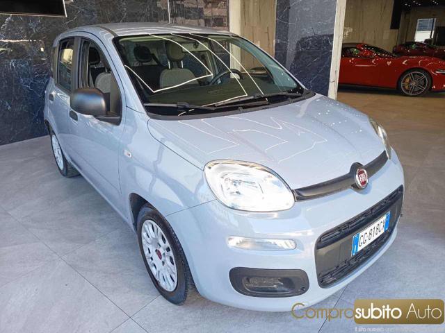 Fiat Panda 1.0 FireFly S&S Hybrid City Life - foto 3 di 4