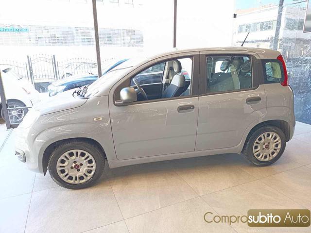 Fiat Panda 1.0 FireFly S&S Hybrid City Life - foto 4 di 4