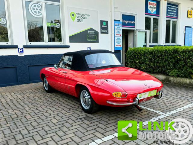 Alfa Romeo Spider 1750 OSSO DI SEPPIA / RESTAURO TOTALE d'epoca a LEGNANO