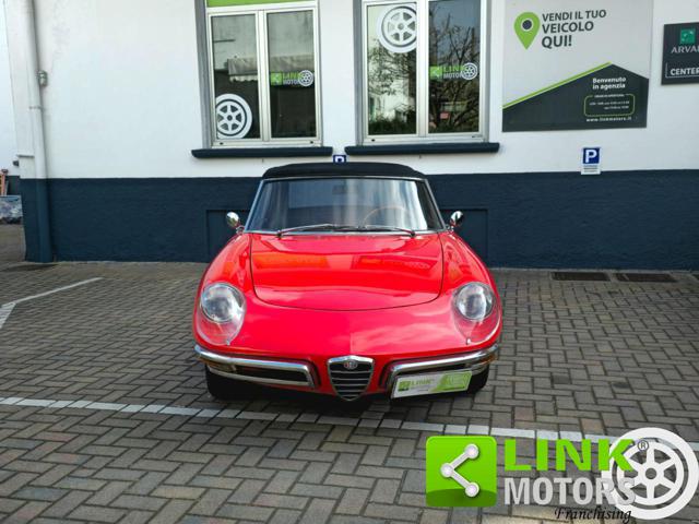 Alfa Romeo Spider 1750 OSSO DI SEPPIA / RESTAURO TOTALE - foto 4 di 4