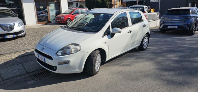 Fiat Punto 1.3 MJT II S&S 95 CV 5 porte Street usato a TREBASELEGHE