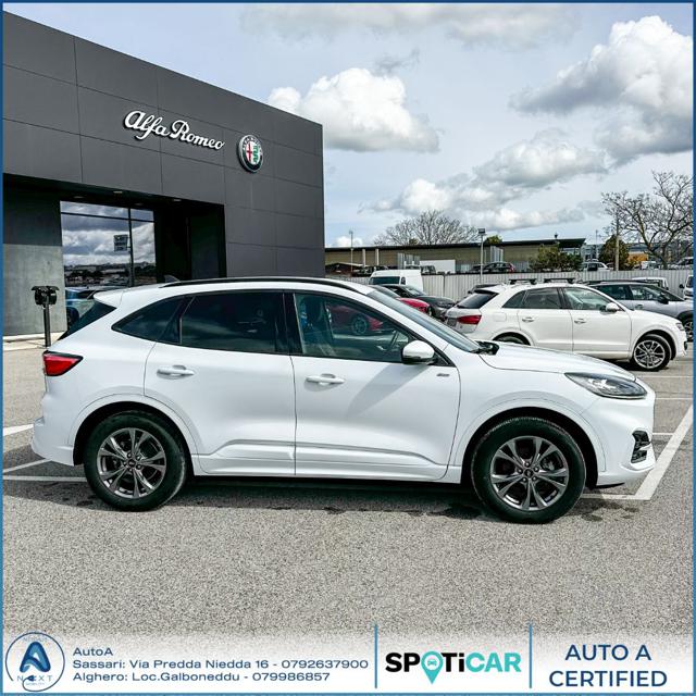Ford Kuga 2.5 Plug In Hybrid 225 CV CVT 2WD ST-Line - foto 4 di 4