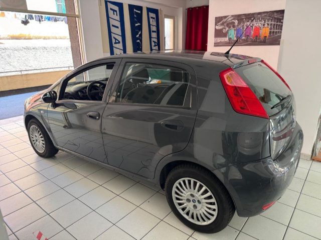 Fiat Punto 1.2 8V 5 porte Easy GPL usato a SERRAVALLE SCRIVIA