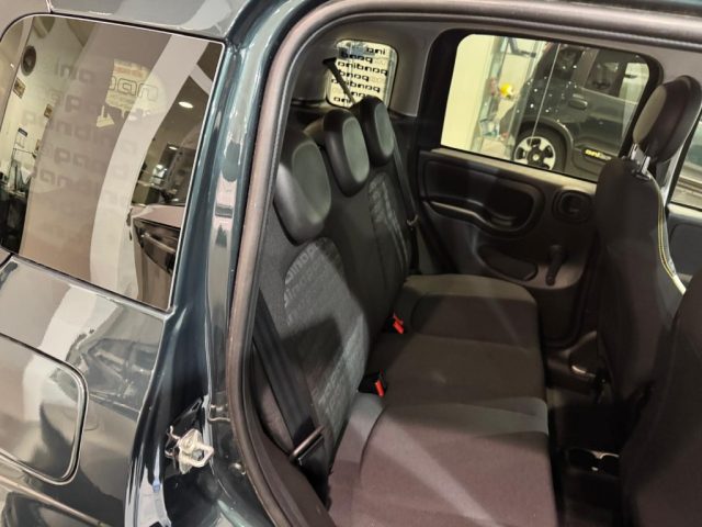 Fiat Panda 1.0 FireFly S&S Hybrid Pandina - foto 4 di 4