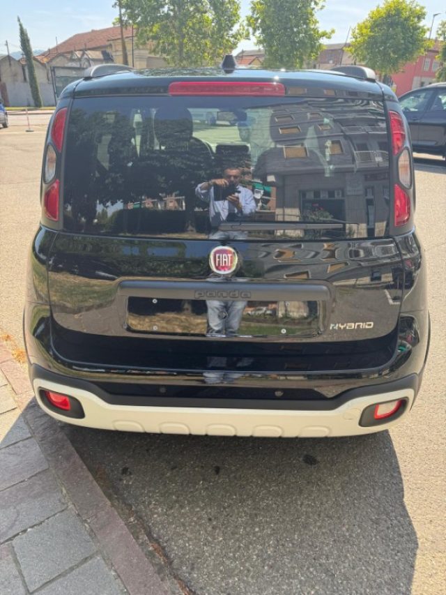 Fiat Panda 1.0 FireFly S&S Hybrid Pandina nuovo a SERRAVALLE SCRIVIA