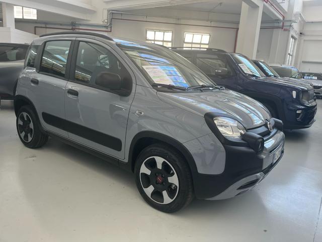 Fiat Panda Cross 1.0 FireFly S&S Hybrid usato a TORINO