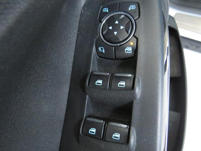 Ford EcoSport 1.0 EcoBoost 100 CV Titanium usato a LODI