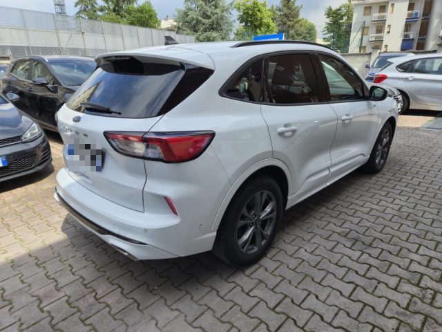 Ford Kuga 1.5 EcoBlue 120 CV aut. 2WD ST-Line X AUTOCARRO - foto 4 di 18