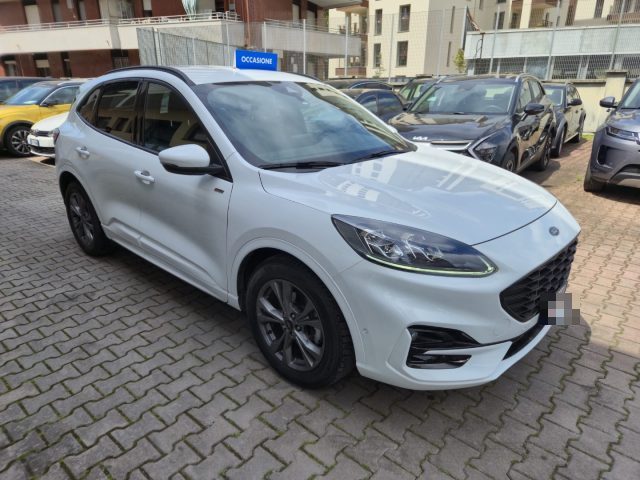 Ford Kuga 1.5 EcoBlue 120 CV aut. 2WD ST-Line X AUTOCARRO - foto 3 di 18