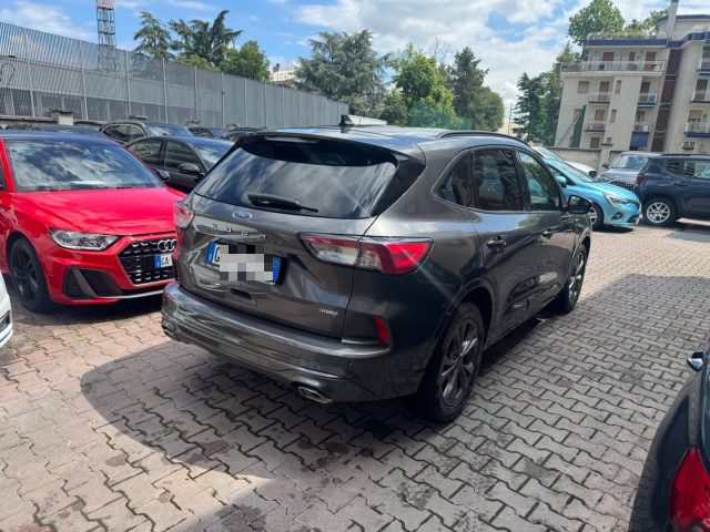 Ford Kuga 2.5 Full Hybrid 190 CV CVT 2WD ST-Line X - foto 4 di 4