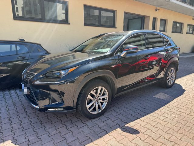 Lexus NX 300 Hybrid 4WD F-Sport - foto 3 di 4
