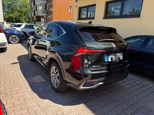 Lexus NX 300 Hybrid 4WD F-Sport - foto 4 di 4