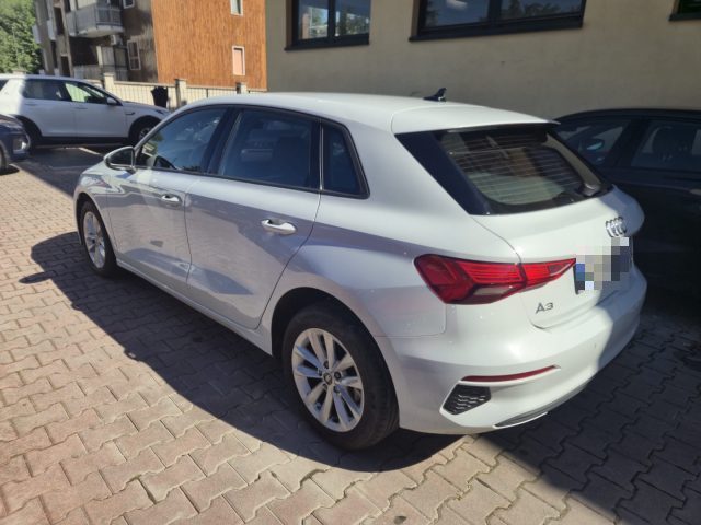 Audi A3 SPB 30 TDI S tronic Business - foto 4 di 4