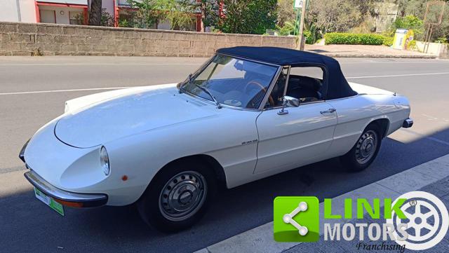 Alfa Romeo Spider 1.6 Junior TARGA ORO d'epoca a PUTIGNANO