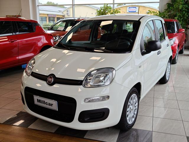 Fiat Panda 1.0 FireFly S&S Hybrid PER NEOPATENTATI, del 2025, 5.906 km, in vendita a Gazzada Schianno (VA)