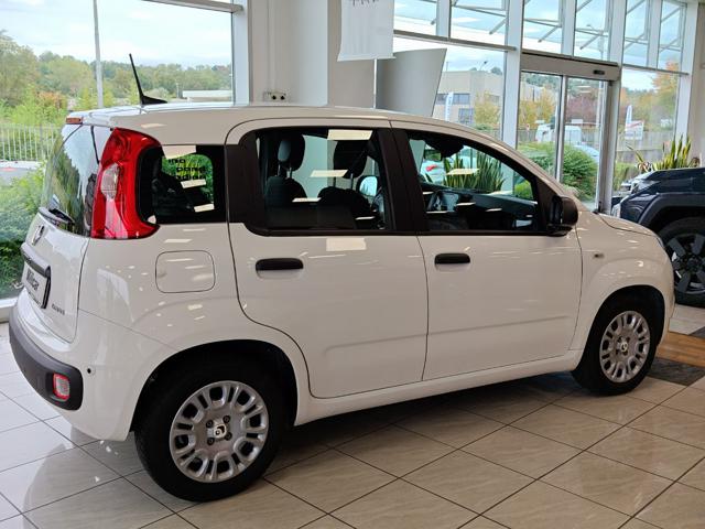 Fiat Panda 1.0 FireFly S&S Hybrid PER NEOPATENTATI - foto 4 di 4