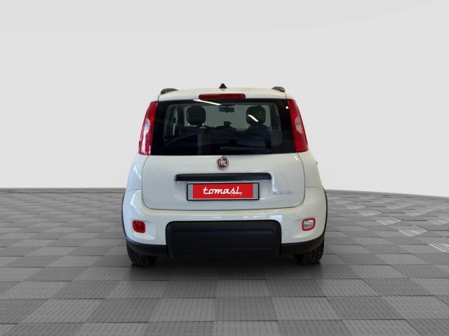 Fiat Panda Panda 1.0 FireFly Hybrid City Life - foto 4 di 4