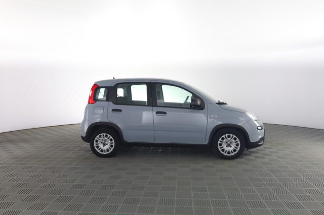 Fiat Panda Panda 1.0 FireFly Hybrid City Life - foto 3 di 4