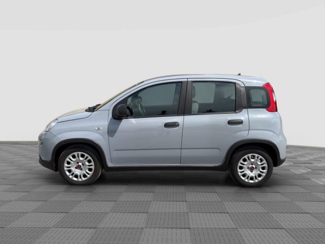 Fiat Panda Panda 1.0 FireFly Hybrid City Life - foto 2 di 4