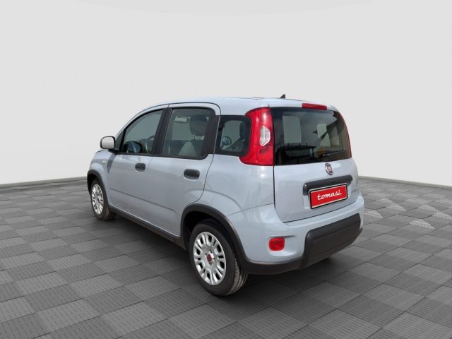 Fiat Panda Panda 1.0 FireFly Hybrid City Life - foto 3 di 4