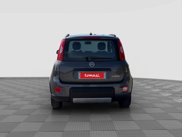 Fiat Panda Panda 1.0 FireFly Hybrid City Life - foto 4 di 4