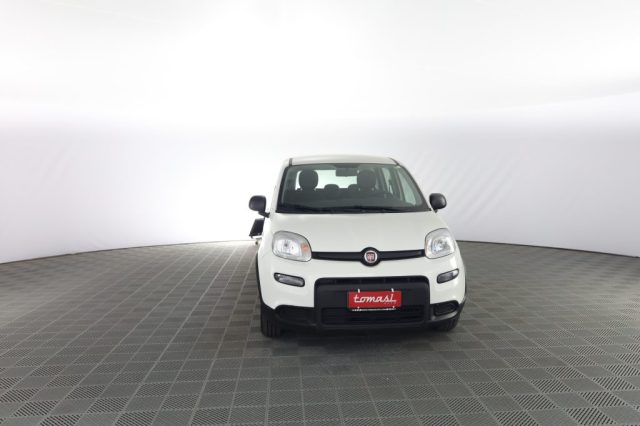 Fiat Panda Panda 1.0 FireFly S&S Hybrid usato a ROMA