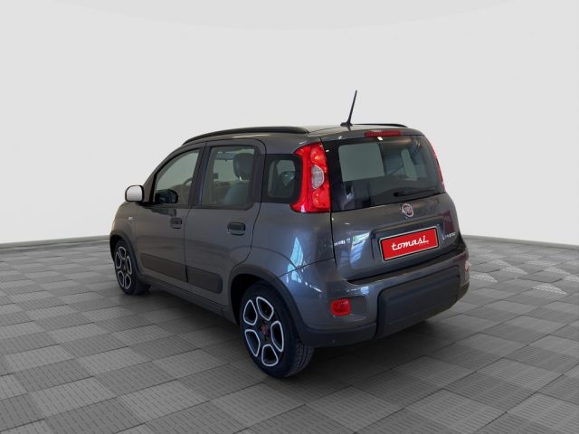 Fiat Panda Panda 1.0 FireFly Hybrid City Life - foto 3 di 4