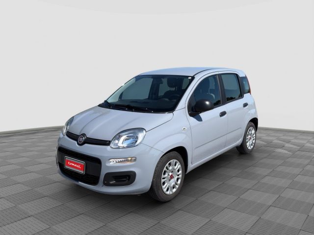 Fiat Panda Panda 1.0 FireFly Hybrid usato a ROMA