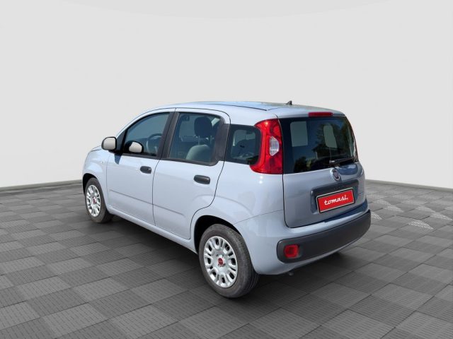 Fiat Panda Panda 1.0 FireFly Hybrid - foto 3 di 4