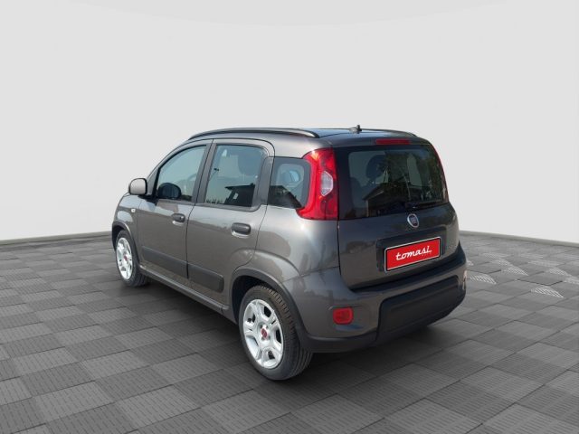 Fiat Panda Panda 1.0 FireFly Hybrid City Life - foto 4 di 4