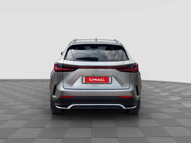 Lexus Other NX NX Hybrid 4WD F-Sport - foto 4 di 4