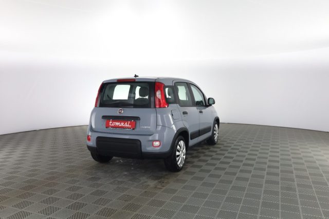 Fiat Panda Panda 1.0 FireFly Hybrid City Life - foto 4 di 4