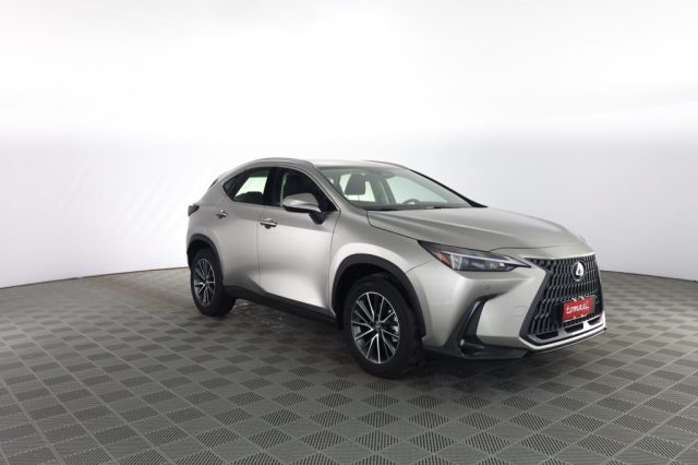 Lexus Other NX NX Hybrid 4WD Business - foto 2 di 4