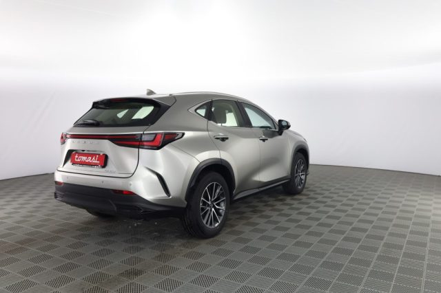 Lexus Other NX NX Hybrid 4WD Business - foto 4 di 4