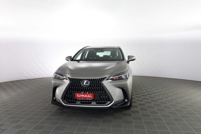 Lexus Other NX NX Hybrid 4WD Business usato a ROMA