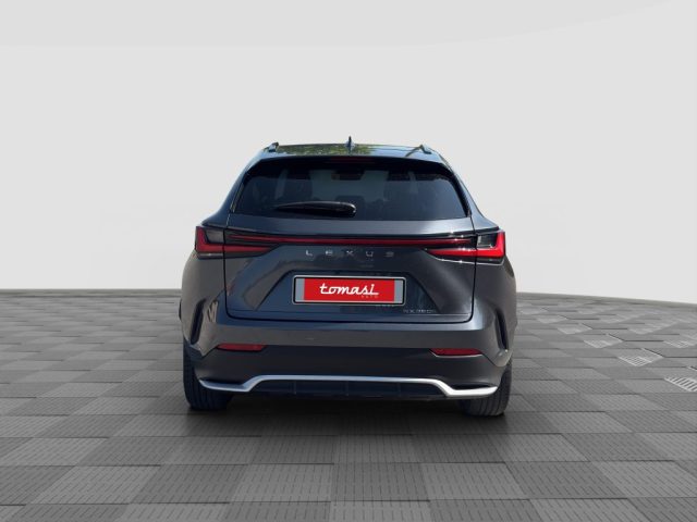 Lexus Other NX NX Hybrid 4WD F-Sport - foto 4 di 4