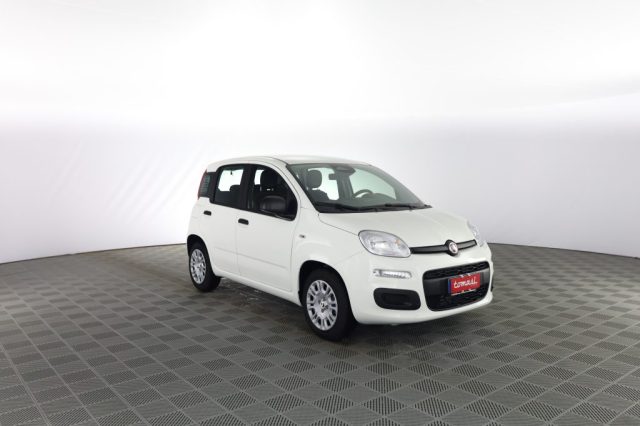 Fiat Panda Pandina 1.0 FireFly 65 CV Hybrid Icon - foto 2 di 4