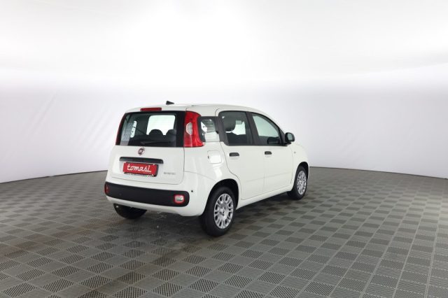 Fiat Panda Pandina 1.0 FireFly 65 CV Hybrid Icon - foto 4 di 4