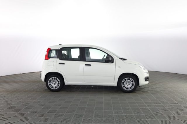 Fiat Panda Pandina 1.0 FireFly 65 CV Hybrid Icon - foto 3 di 4