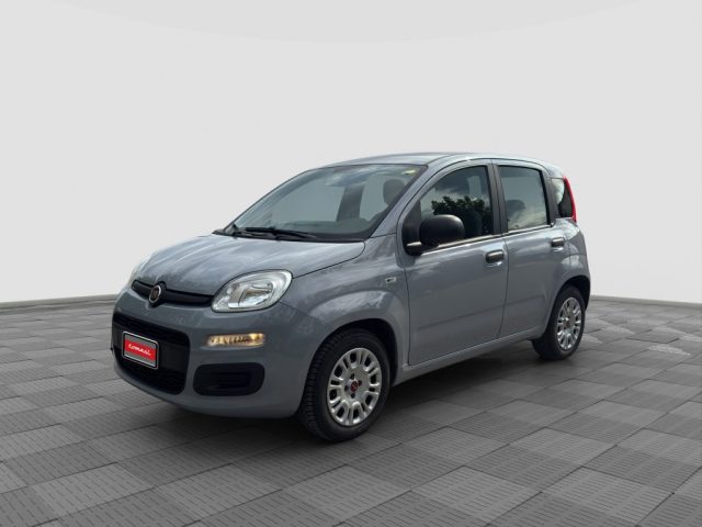 Fiat Panda Panda 1.0 FireFly Hybrid usato a ROMA